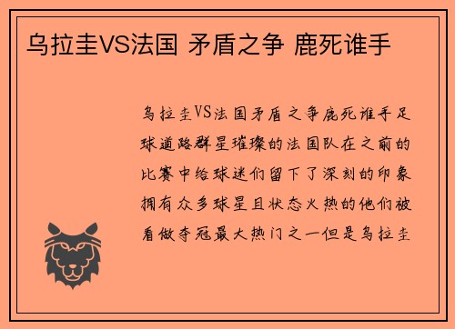 乌拉圭VS法国 矛盾之争 鹿死谁手
