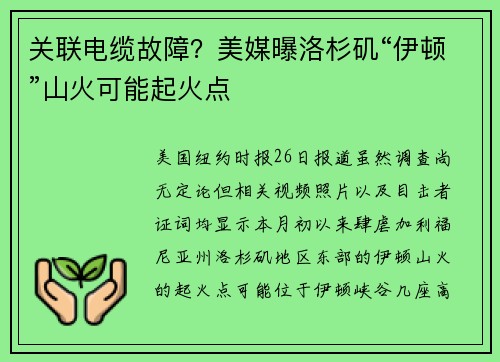 关联电缆故障？美媒曝洛杉矶“伊顿”山火可能起火点