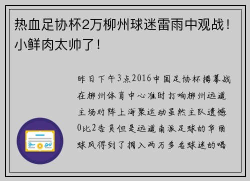 热血足协杯2万柳州球迷雷雨中观战！小鲜肉太帅了！